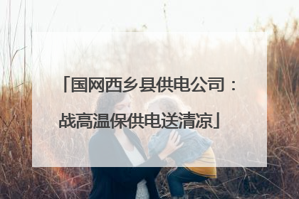 国网西乡县供电公司：战高温保供电送清凉
