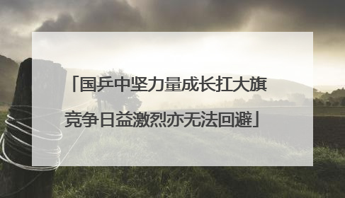 国乒中坚力量成长扛大旗 竞争日益激烈亦无法回避