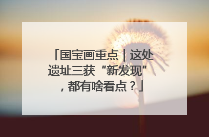 国宝画重点｜这处遗址三获“新发现”，都有啥看点？