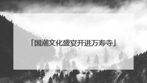 国潮文化盛宴开进万寿寺