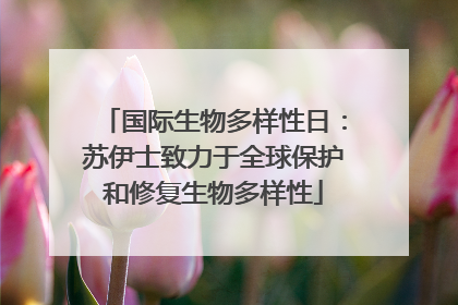 国际生物多样性日：苏伊士致力于全球保护和修复生物多样性