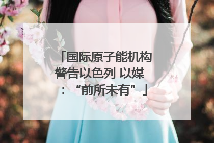 国际原子能机构警告以色列 以媒：“前所未有”