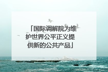 国际调解院为维护世界公平正义提供新的公共产品