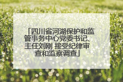 四川省河湖保护和监管事务中心党委书记、主任刘刚 接受纪律审查和监察调查