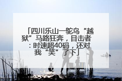 四川乐山一鸵鸟“越狱”马路狂奔，目击者：时速超40码，还对我“笑”了下