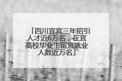 四川宜宾三年招引人才近6万名，在宜高校毕业生留宜就业人数近万名