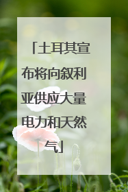 土耳其宣布将向叙利亚供应大量电力和天然气