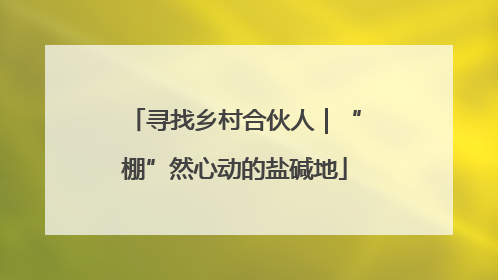 寻找乡村合伙人｜“棚”然心动的盐碱地