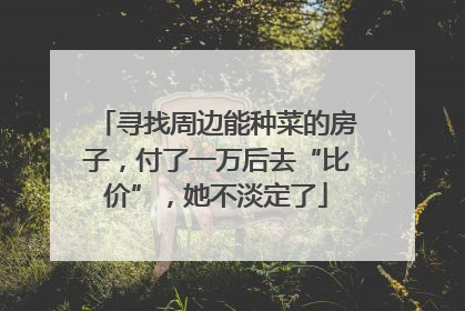 寻找周边能种菜的房子，付了一万后去“比价”，她不淡定了