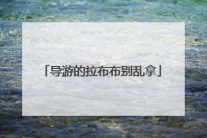 导游的拉布布别乱拿