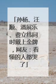 孙杨、汪顺、潘展乐、费立纬同时戴上金牌，网友：看懂的人都哭了