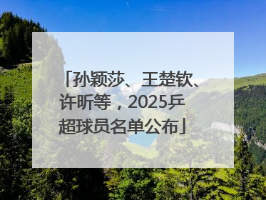 孙颖莎、王楚钦、许昕等，2025乒超球员名单公布