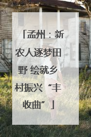孟州：新农人逐梦田野 绘就乡村振兴“丰收曲”