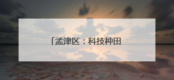 孟津区：科技种田 上演小麦“逆袭”记