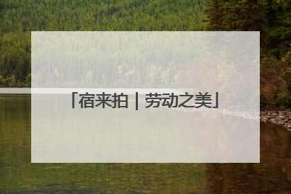 宿来拍｜劳动之美
