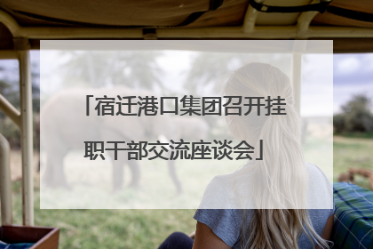 宿迁港口集团召开挂职干部交流座谈会