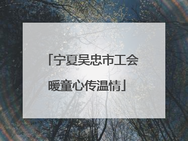 宁夏吴忠市工会暖童心传温情