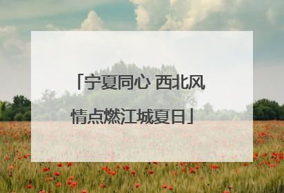 宁夏同心 西北风情点燃江城夏日