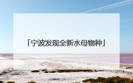 宁波发现全新水母物种