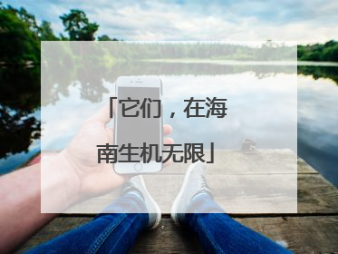 它们，在海南生机无限