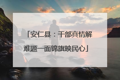 安仁县：干部真情解难题一面锦旗映民心