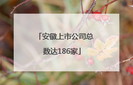 安徽上市公司总数达186家