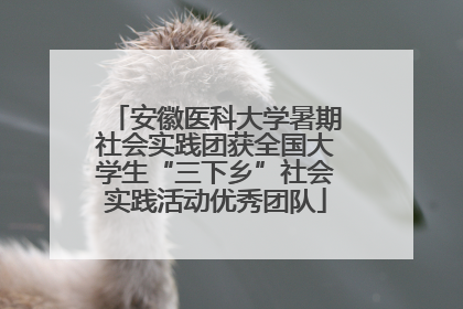安徽医科大学暑期社会实践团获全国大学生“三下乡”社会实践活动优秀团队