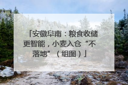安徽阜南：粮食收储更智能，小麦入仓“不落地”（组图）