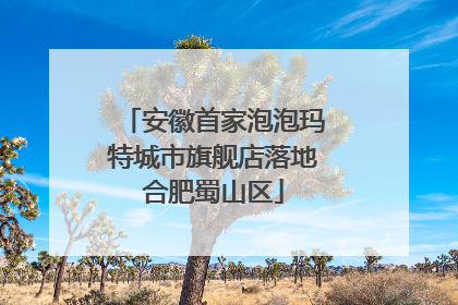 安徽首家泡泡玛特城市旗舰店落地合肥蜀山区