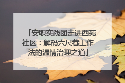 安职实践团走进西苑社区：解码六尺巷工作法的温情治理之道