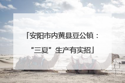 安阳市内黄县豆公镇：“三夏”生产有实招