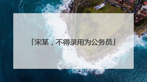 宋某，不得录用为公务员