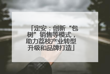 定安：创新“包树”销售等模式，助力荔枝产业转型升级和品牌打造