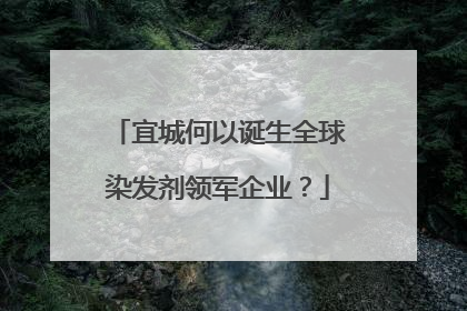 宜城何以诞生全球染发剂领军企业？