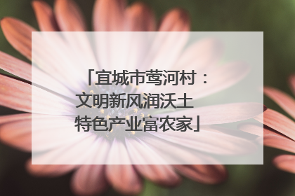 宜城市莺河村：文明新风润沃土 特色产业富农家