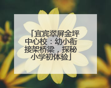 宜宾翠屏金坪中心校：幼小衔接架桥梁，探秘小学初体验