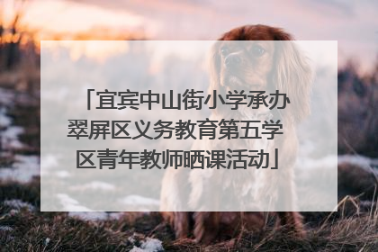宜宾中山街小学承办翠屏区义务教育第五学区青年教师晒课活动