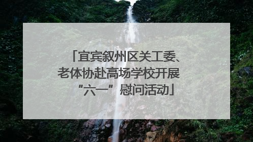 宜宾叙州区关工委、老体协赴高场学校开展“六一”慰问活动
