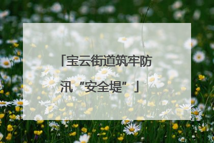 宝云街道筑牢防汛“安全堤”