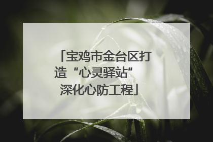 宝鸡市金台区打造“心灵驿站” 深化心防工程