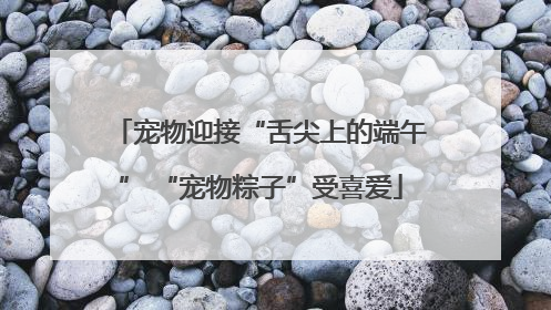 宠物迎接“舌尖上的端午” “宠物粽子”受喜爱