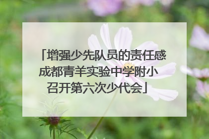 增强少先队员的责任感 成都青羊实验中学附小召开第六次少代会