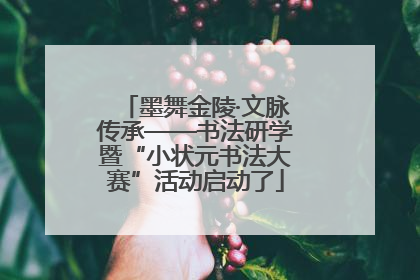 墨舞金陵·文脉传承——书法研学暨“小状元书法大赛”活动启动了