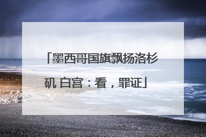 墨西哥国旗飘扬洛杉矶 白宫：看，罪证