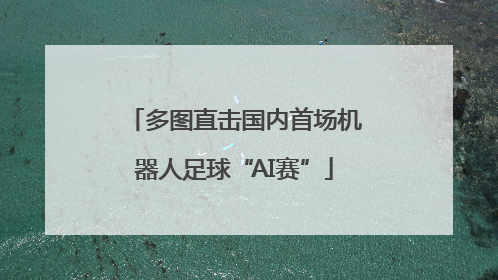 多图直击国内首场机器人足球“AI赛”