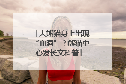 大熊猫身上出现“血洞”？熊猫中心发长文科普