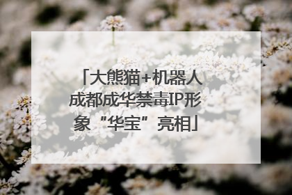 大熊猫+机器人 成都成华禁毒IP形象“华宝”亮相