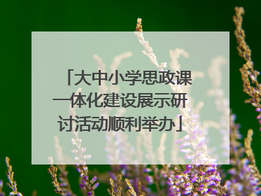 大中小学思政课一体化建设展示研讨活动顺利举办