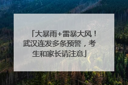 大暴雨+雷暴大风！武汉连发多条预警，考生和家长请注意