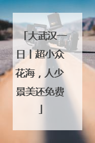 大武汉一日丨超小众花海，人少景美还免费